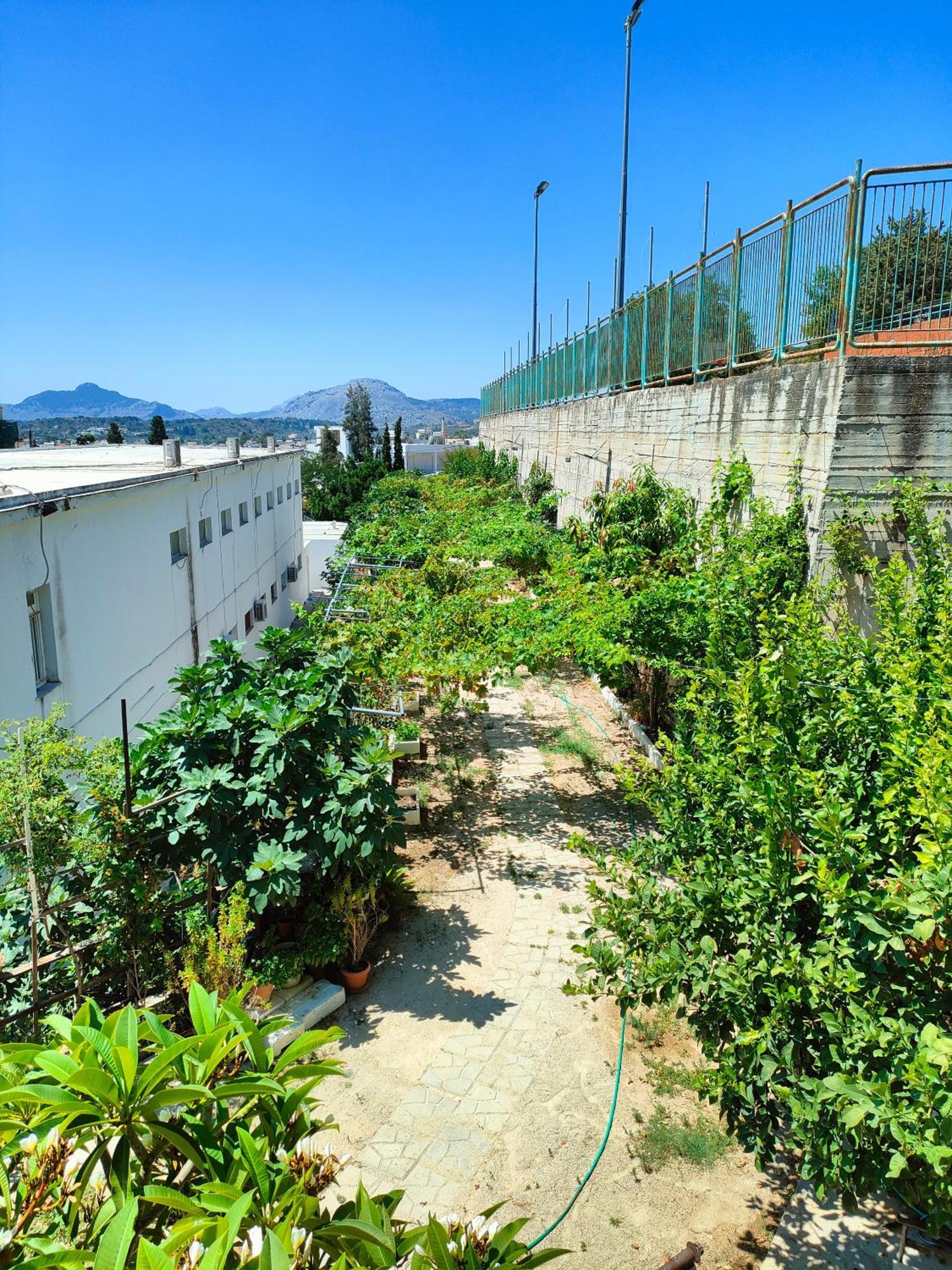 Sky-Line Apartments Afantou Dış mekan fotoğraf